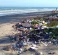 WWF-pidio-la-prohibicion-de-plasticos-de-un-solo-uso-daninos-e-innecesarios.jpg