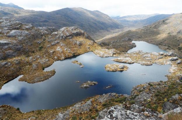 Páramo de Santurbán. / Foto: Universidad Nacional.