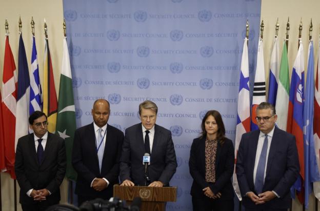 Declaración pública ONU.