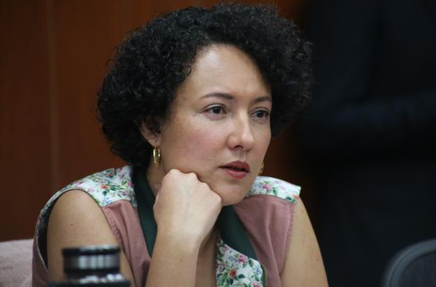 Isabel Zuleta pidió eliminar cobro por confiabilidad incluido en las tarifas de energía