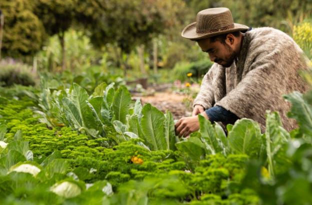 Colombia impulsa su transformación económica con reforma agraria histórica