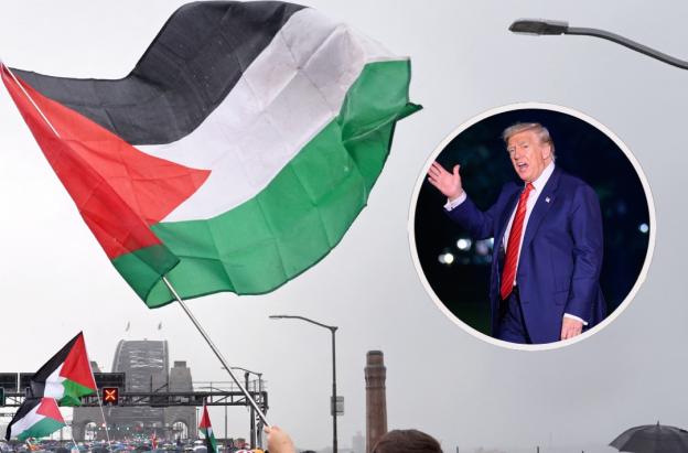 Carta a Trump para exigir fin del genocidio en Gaza. / Fotos: AFP.