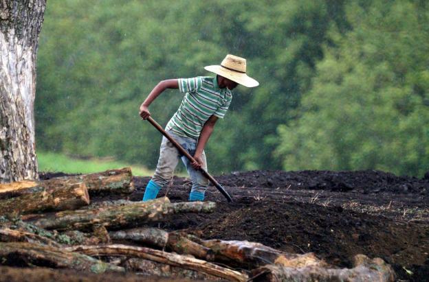 Desempleo en Colombia baja a 8,8% en julio de 2025