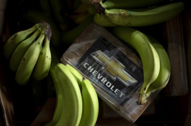 Droga escondida en cargamento de banano.
