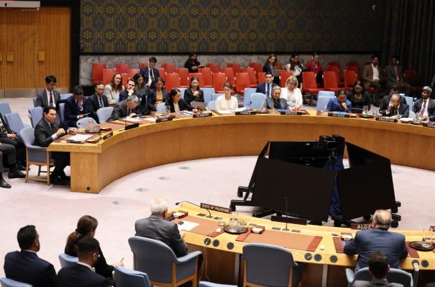 Consejo de Seguridad de la ONU.