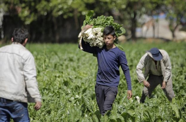 Colombia registra la tasa de desempleo más baja en 24 años para el mes de agosto