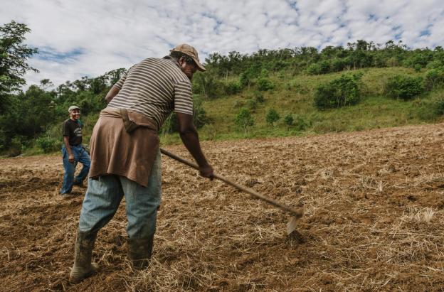 Agro colombiano genera 4,8 millones de empleos