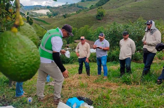Colombia en más mercados internacionales. / Foto: ICA.