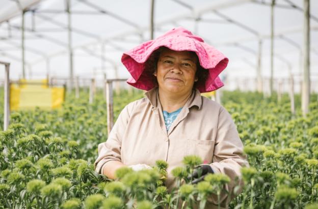 Impulso a la economía colombiana en las mujeres. / Foto: Dirección de Mujer Rural.