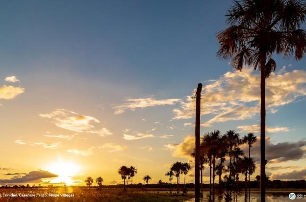 Los morichales, un paraíso natural en los Llanos Orientales