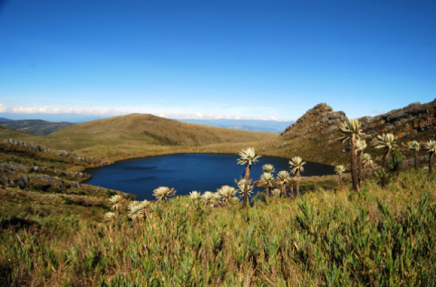 Laguna y frailejones en el Parque Nacional Natural Chingaza