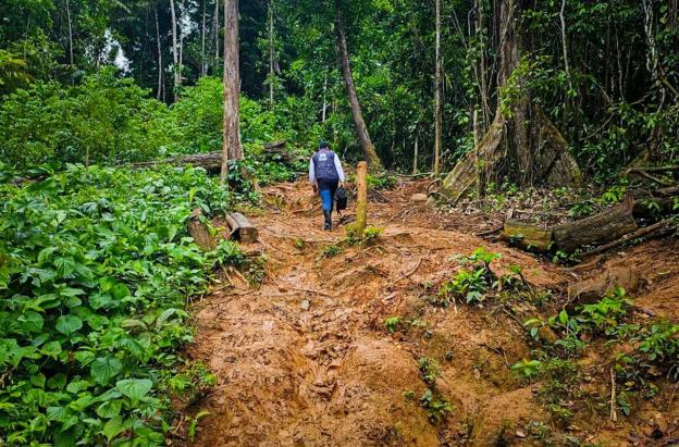 Petro ordena despliegue militar en el Darién 