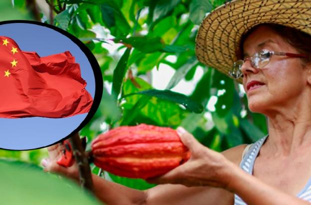 China abre sus puertas al agro colombiano en la VIII Exposición Internacional de Importaciones