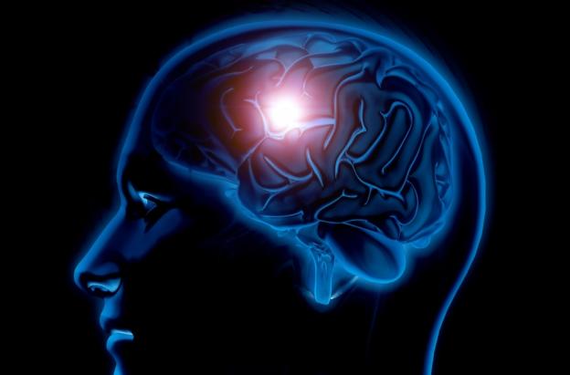 Cerebro. / Foto: Freepik.