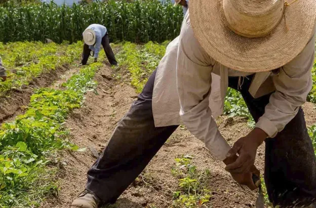 Jurisdicción Agraria sigue estancada en el Congreso