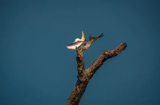 Expedición BIO.