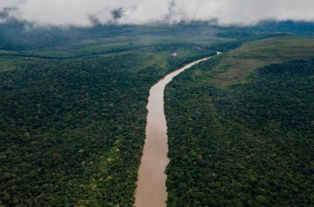 Deforestación en el Amazonas. / Foto: MinAmbiente.
