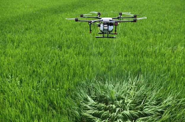 Gobierno autorizó erradicación focalizada de cultivos ilícitos con drones