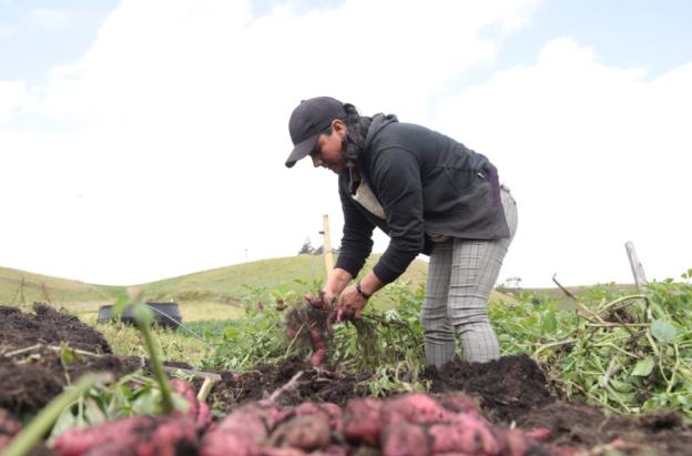 Actividades de agricultura en el ISE 2025. / Foto: X MinAgricultura.