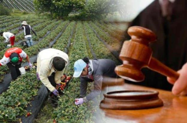 Jurisdicción agraria. / Foto: Senado.