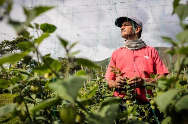 Empleo en Colombia. / Foto: Radio Nacional de Colombia.