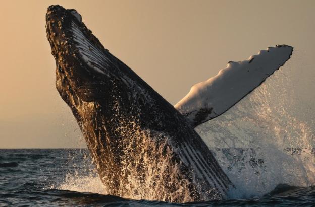 Turismo en Colombia. / Foto: Colombia Travel.