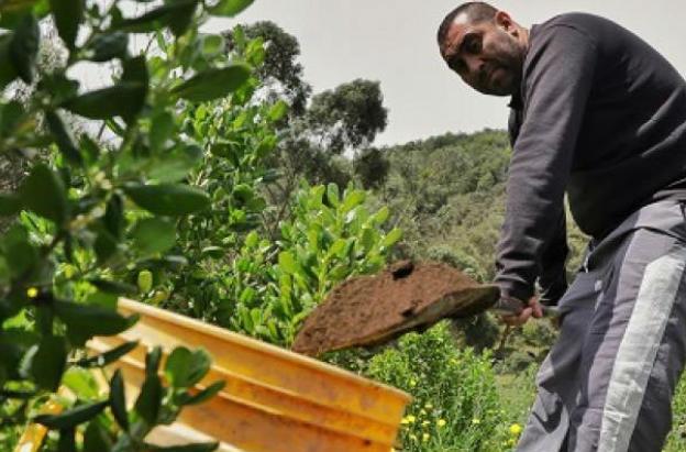 Gobierno desembolsó $48,1 billones en créditos agropecuarios durante 2025, superando la meta en 12%