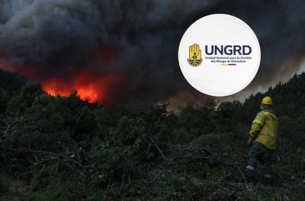 Incendios forestales en Argentina. / Foto: UNGRD y AFP.
