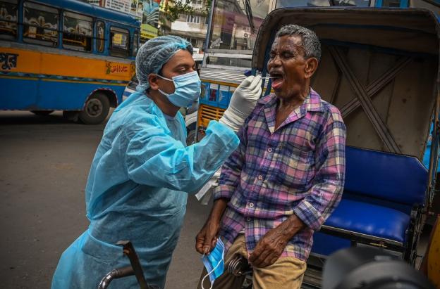 Virus Nipah: alerta en el sudeste asiático pero en el mundo el riesgo es menor
