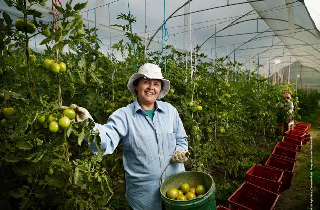 Pacto por el Crédito alcanza 89,6% de la meta y suma $228,1 billones desembolsados