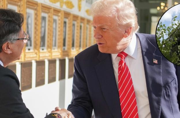 Petro propone a Trump erradicación manual de coca