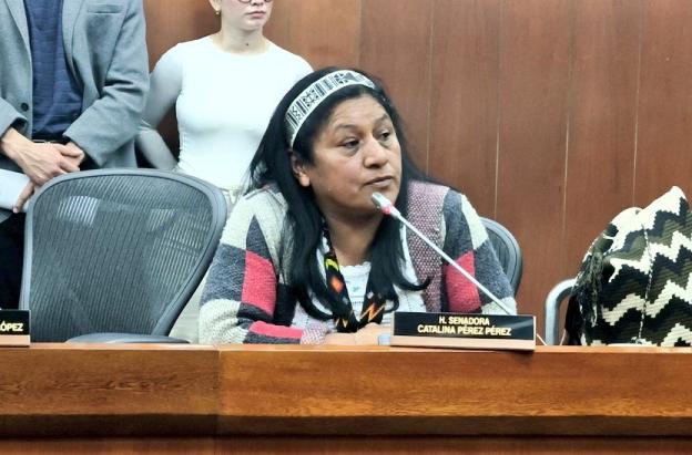 Senadora Aida Quilcue fue secuestrada presuntamente en el tramo de Inza-Totoro en el departamento del Cauca
