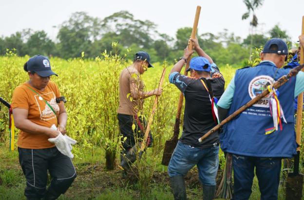 Sustitución voluntaria: la carta que se jugará Petro con Trump.