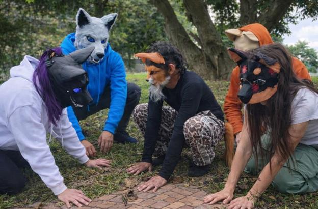 'Soy humano, pero me siento lobo': quiénes son los therians que buscan reconocimiento en Colombia