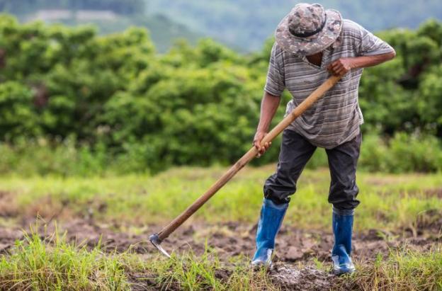 Gobierno presenta cifras históricas en entrega de tierras, producción alimentaria y reducción de pobreza rural