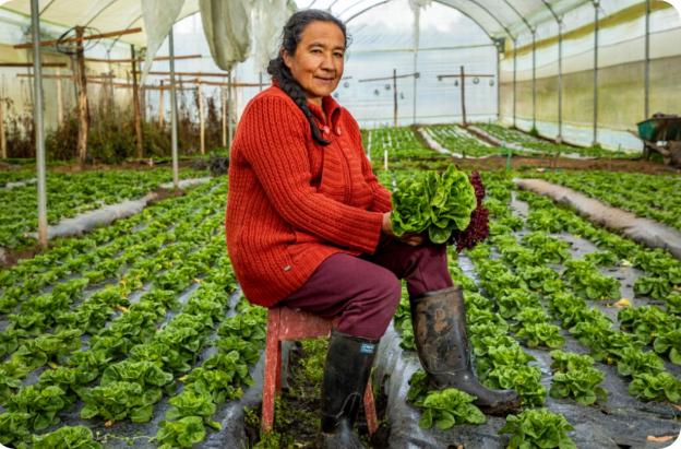 Incremento del presupuesto agropecuario llega a 139%