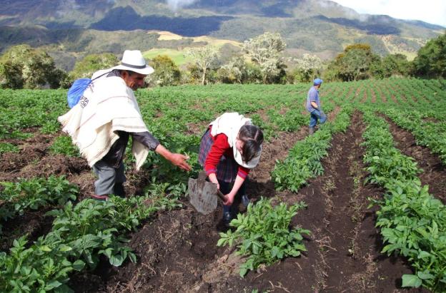 Gobierno pide acelerar la Jurisdicción Agraria ante la Corte Constitucional para resolver conflictos de tierras