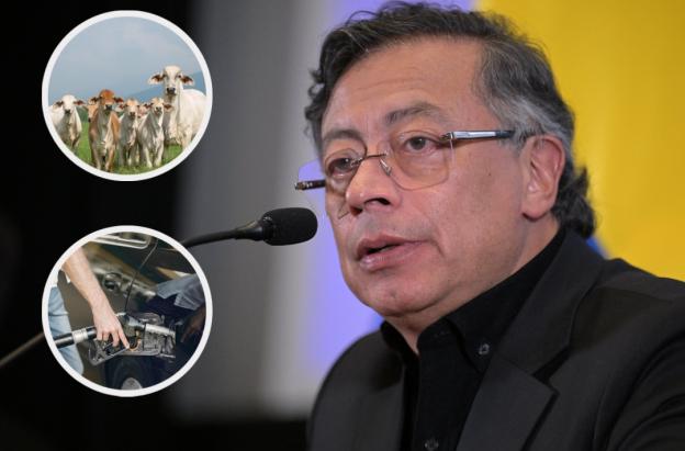 Petro sobre medidas de exportación de carne y gasolina. / Fotos: AFP, Radio Nacional y Freepik.