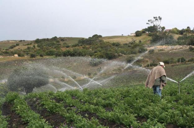 imagen de aspersión de agua en un cultivo en Boyacá