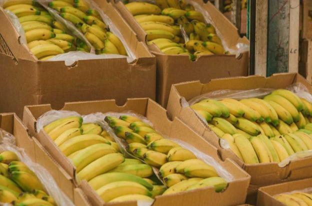 Exportaciones en febrero. / Foto: MinAgricultura.