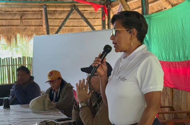 Gobierno ordena medidas especiales para proteger a 31.000 indígenas en el Cauca