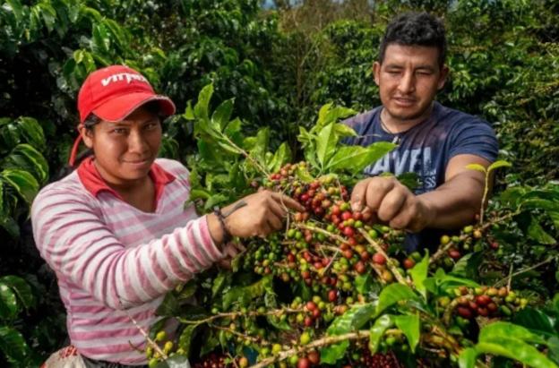 Pobreza multidimensional. / Foto: MinAgricultura.