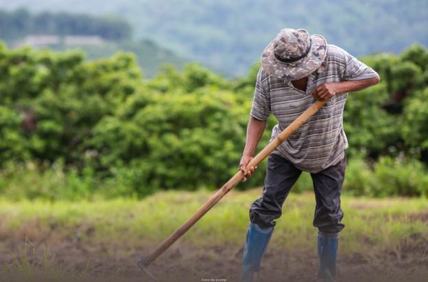 Más de 1,8 millones de hectáreas devueltas: la reforma agraria le cambia la vida a medio millón de víctimas del conflicto