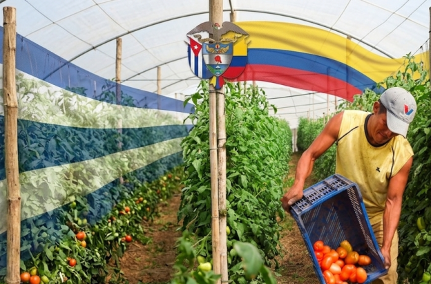 Cuba ayuda humanitaria Petro Colombia