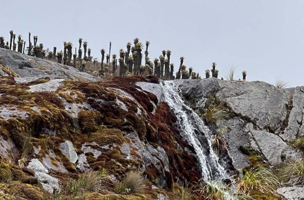 Protección ambiental: Gobierno destacó reducción histórica