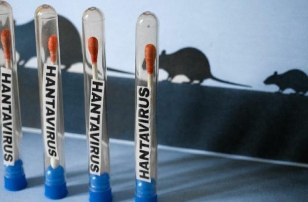  número de casos de hantavirus detectados