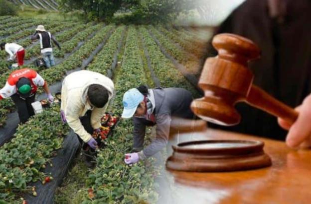 Firmantes de paz piden al Congreso para que apruebe la Jurisdicción Agraria, una deuda histórica con el campo colombiano