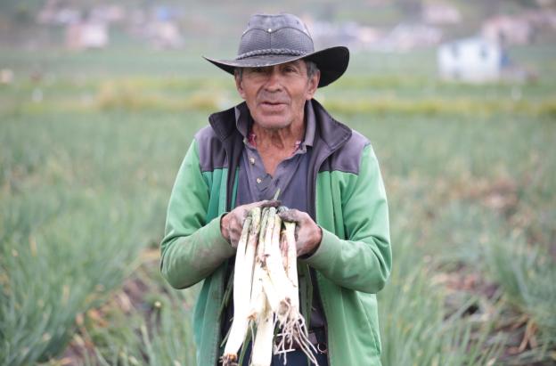 Judicatura y Gobierno urgen al Congreso aprobar la Jurisdicción Agraria antes del 20 de junio