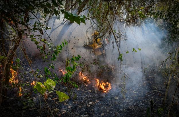 Colombia en alerta por incendios: 114 municipios bajo amenaza