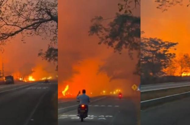 Incendios forestales en Tolima dejan cerca de 20 mil hectáreas afectadas